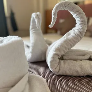 https://divas-silver.istanbul-turkeyhotels.com